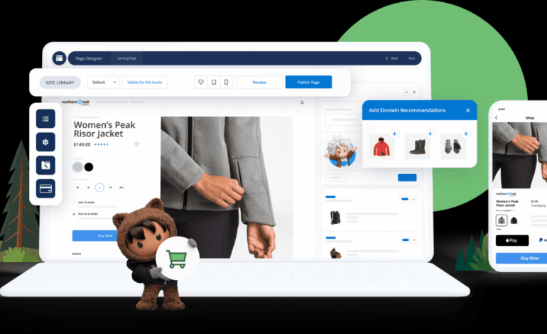 What is Salesforce E-Commerce?