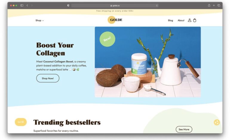 Why Choose Shopify for Your Ecommerce Venture?